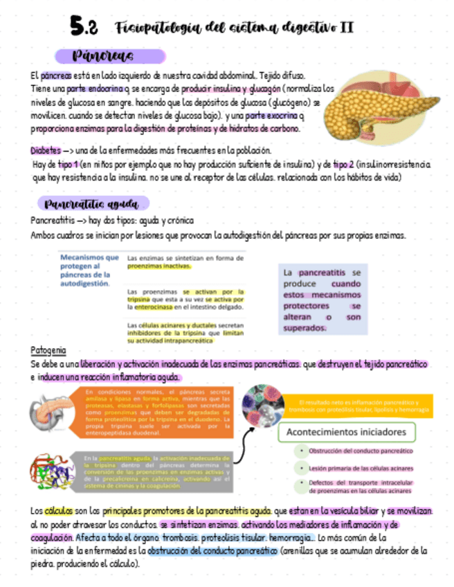 5.2-Fp-Del-Sistema-Digestivo.pdf