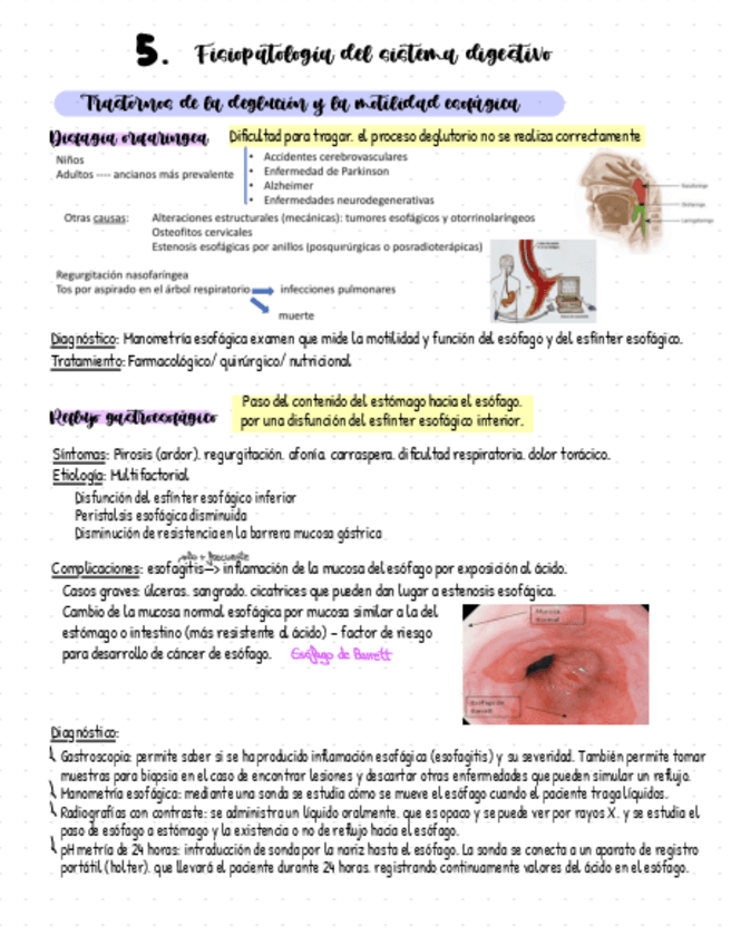 5.-Fp-Del-Sistema-Digestivo.pdf