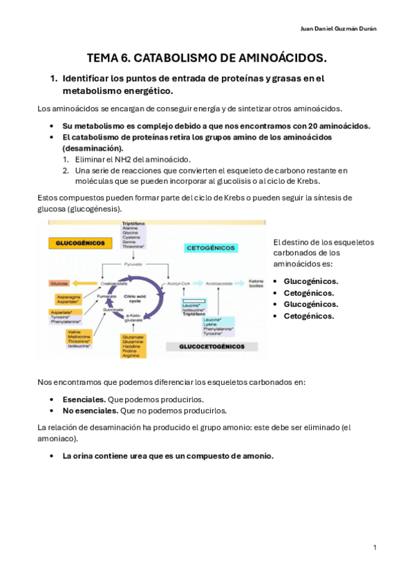 TEMA-6.-CATABOLISMO-DE-AMINOACIDOS.pdf