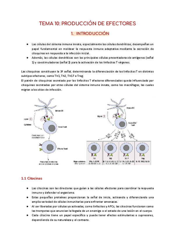 TEMA-10-PRODUCCION-DE-EFECTORES-2.pdf