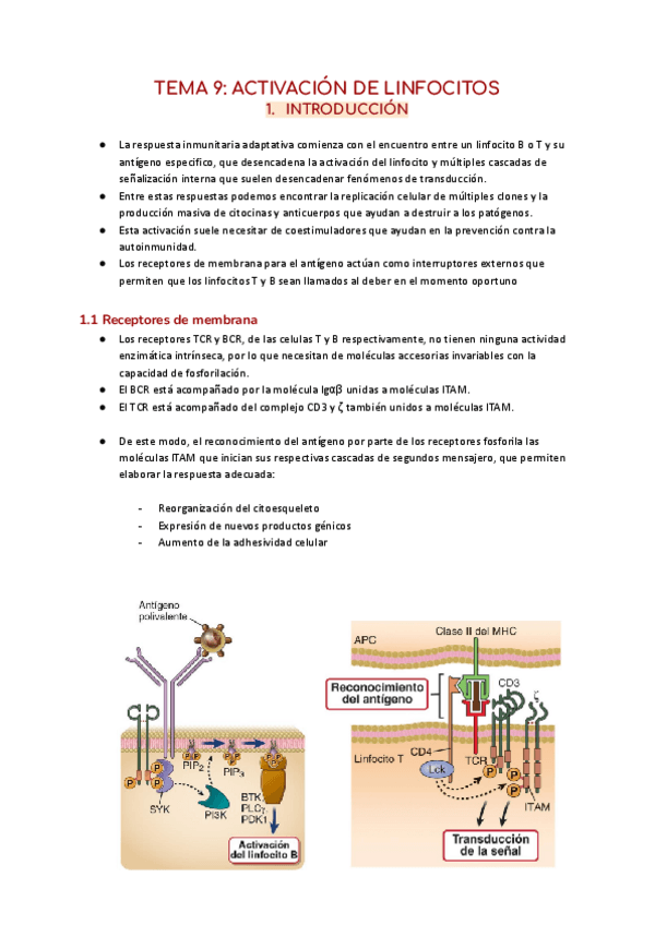 TEMA-9-ACTIVACION-DE-LINFOCITOS-1.pdf