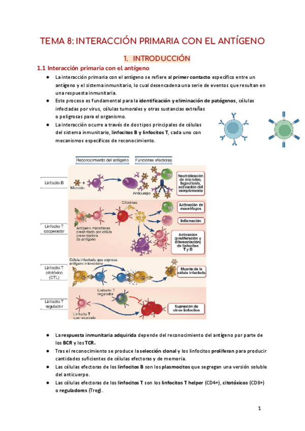 TEMA-8-INTERACCION-PRIMARIA-CON-EL-ANTIGENO-1.pdf