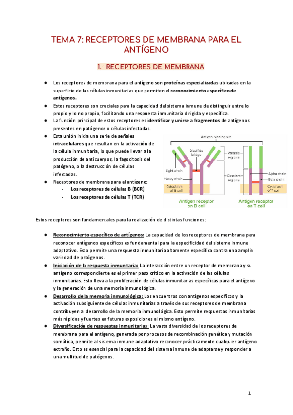 TEMA-7-RECEPTORES-DE-MEMBRANA-PARA-EL-ANTIGENO-1.pdf