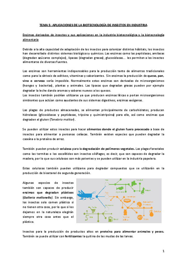 TEMA-5-APLICACIONES-DE-LA-BIOTECNOLOGIA-DE-INSECTOS-EN-INDUSTRIA.pdf