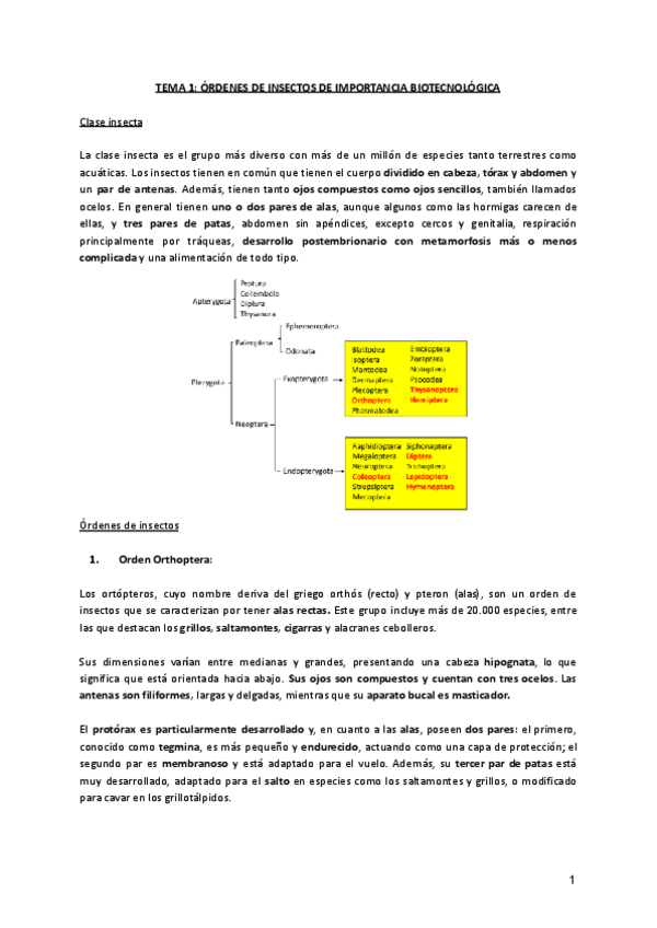 TEMA-1-ORDENES-DE-INSECTOS.pdf