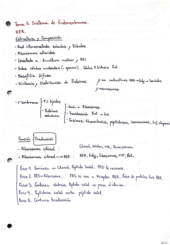 Sistemas-de-endomembranas-apuntes.pdf