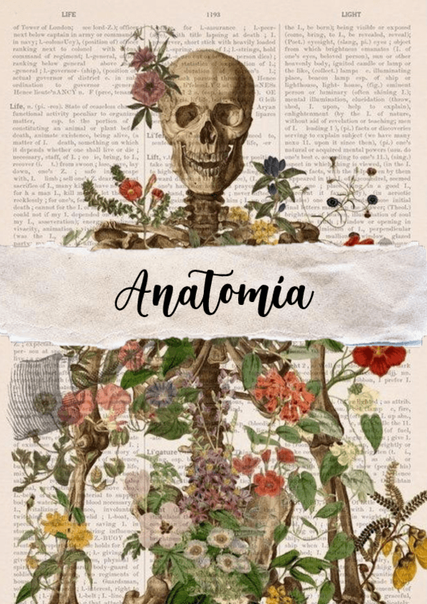 APUNTES-ANATOMIA-COMPLETOS-Y-LAMINAS.pdf