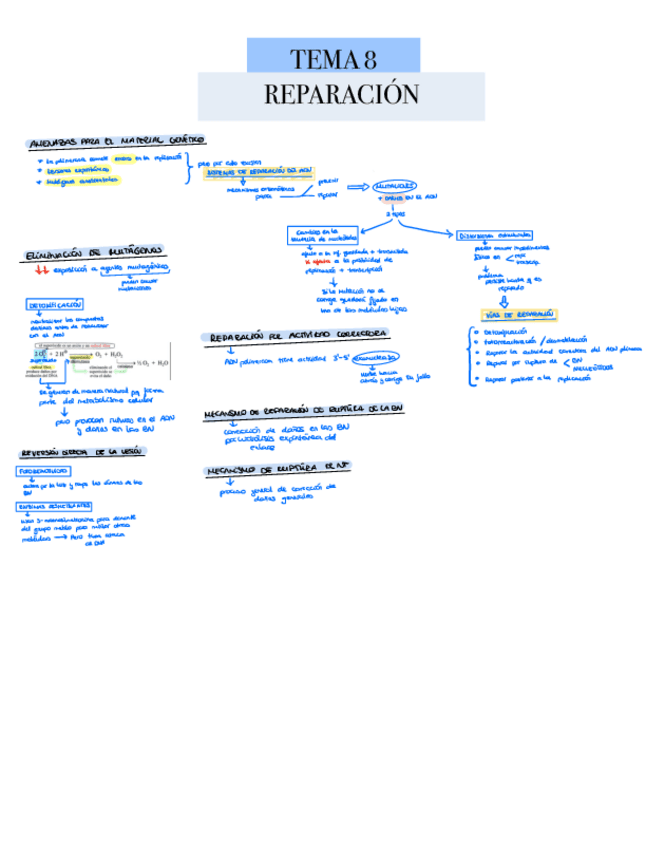 TEMA-8-Reparacion.pdf
