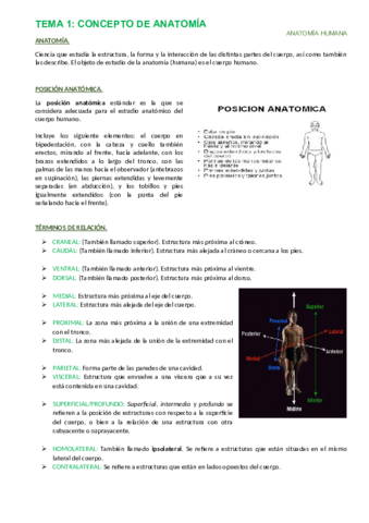 Anatomía Temario Completo.pdf