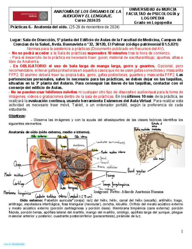 Practica-6-Anatomia.pdf