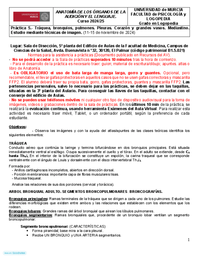 Practica-5-Anatomia.pdf