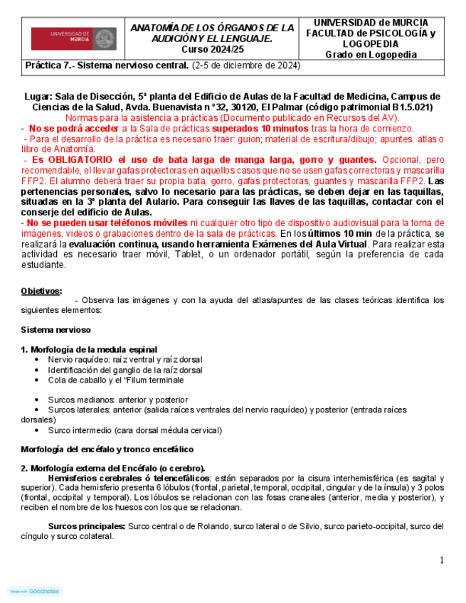 Practica-7-Anatomia.pdf