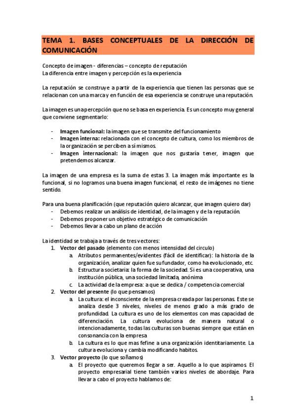 Apuntes-DIRCOM.pdf