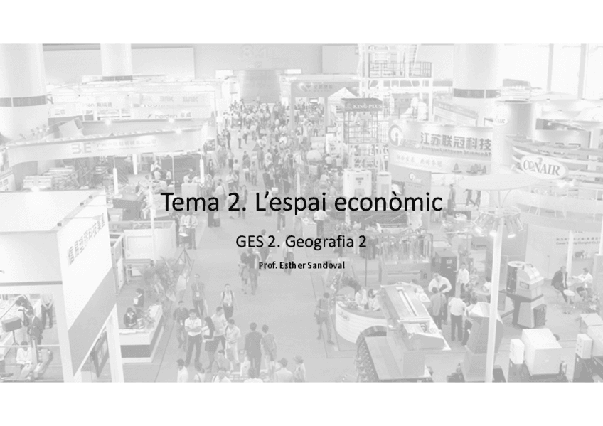 Tema2LEspai-economic-5.pdf