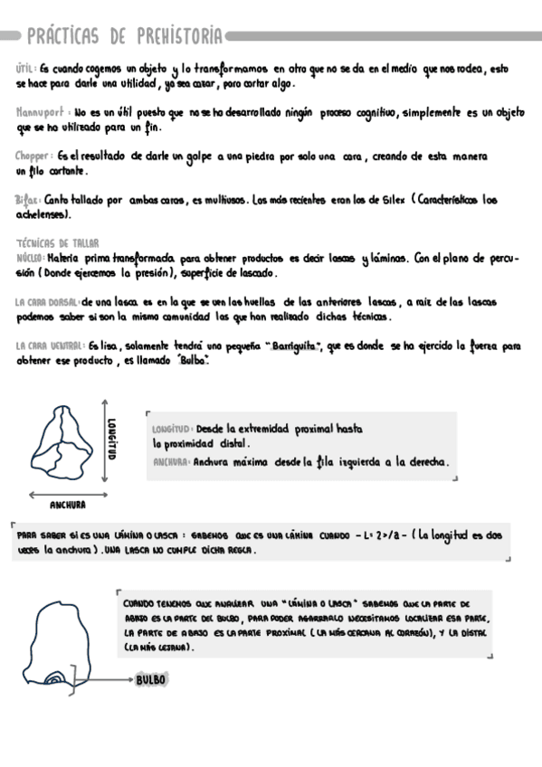 MUSTERIENSE.pdf