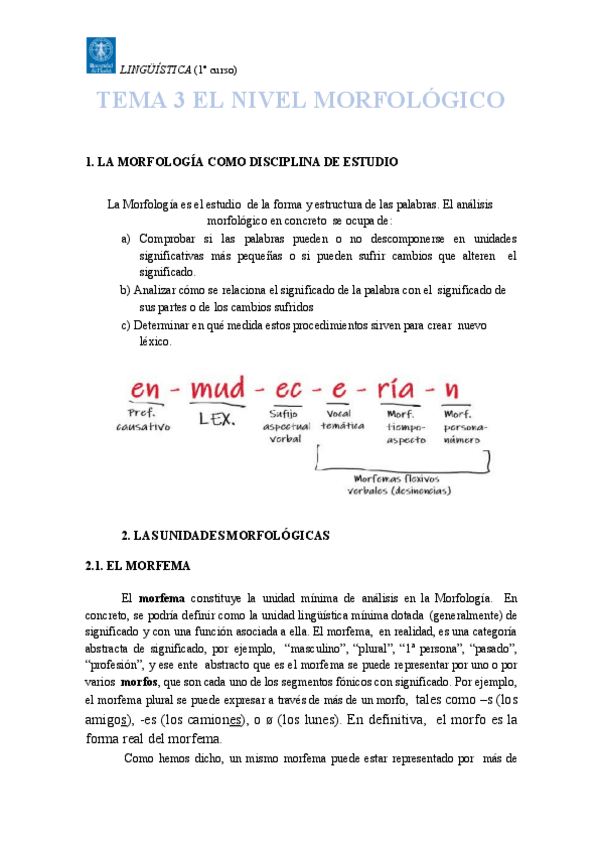 TEMA-3-EL-NIVEL-MORFOLAGICO-copia-2.pdf
