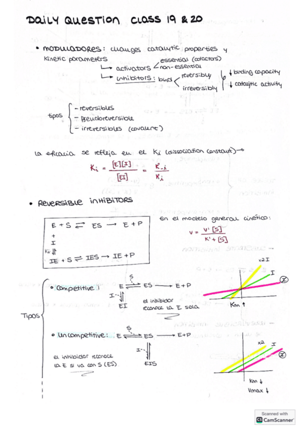 Apuntes-Daily-Question-tema-8.pdf