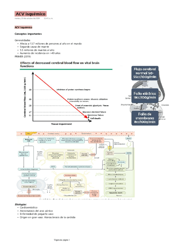 ACV-Isquemico.pdf