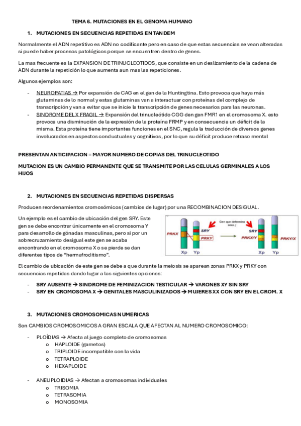 TEMA-5-GENETICA.pdf