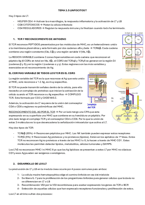 TEMA-3.5-INMUNO.pdf