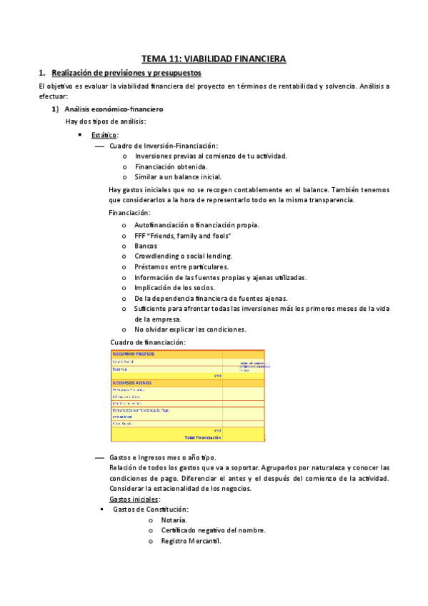 Tema-11-Viabilidad-Financiera.pdf