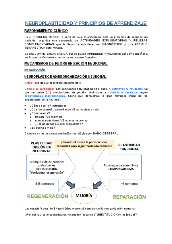 NEUROPLASTICIDAD-Y-PRINCIPIOS-DE-APRENDIZAJE.pdf