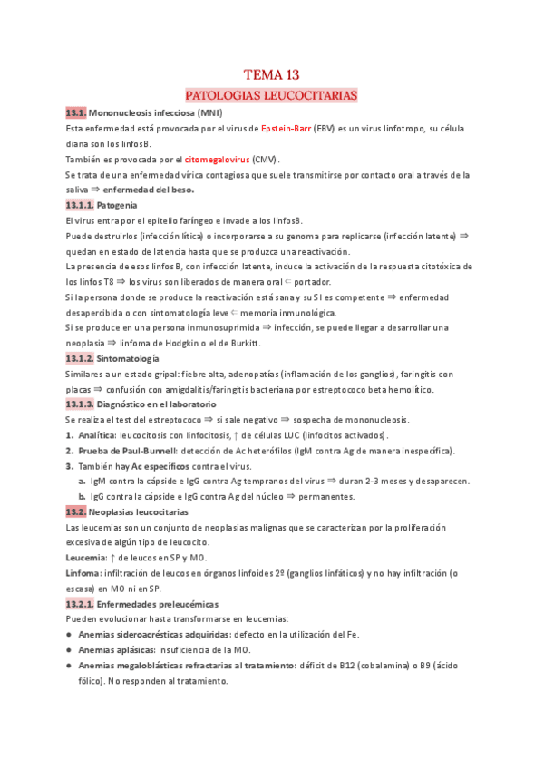 T.13-Hematologia.pdf