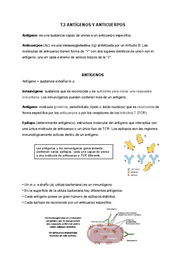 T.3-ANTIGENOS-Y-ANTICUERPOS.pdf