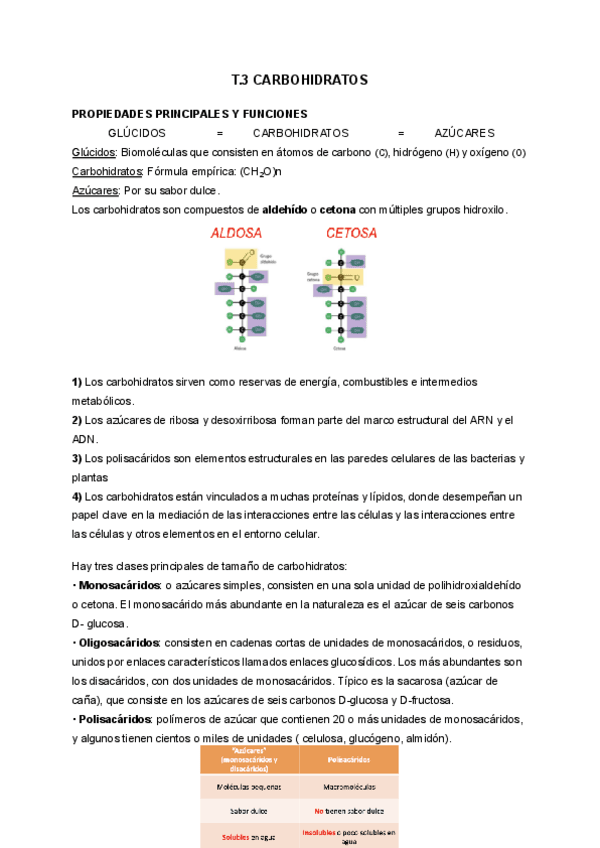 T.3-CARBOHIDRATOS.pdf