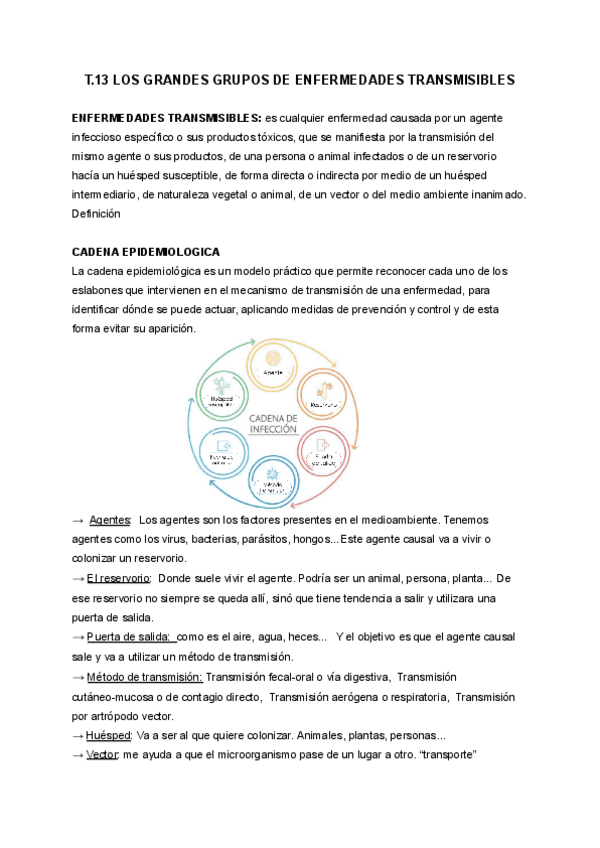 T.13-LOS-GRANDES-GRUPOS-DE-ENFERMEDADES-TRANSMISIBLES.pdf