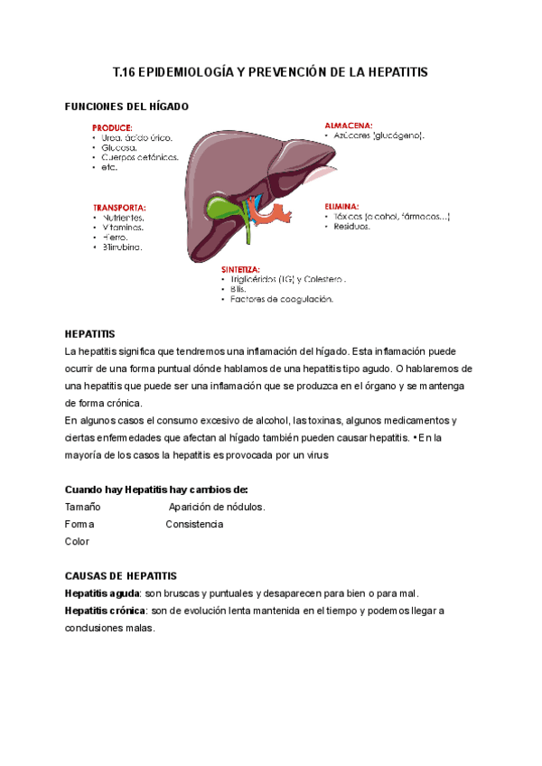 T.16-EPIDEMIOLOGIA-Y-PREVENCION-DE-LA-HEPATITIS.pdf