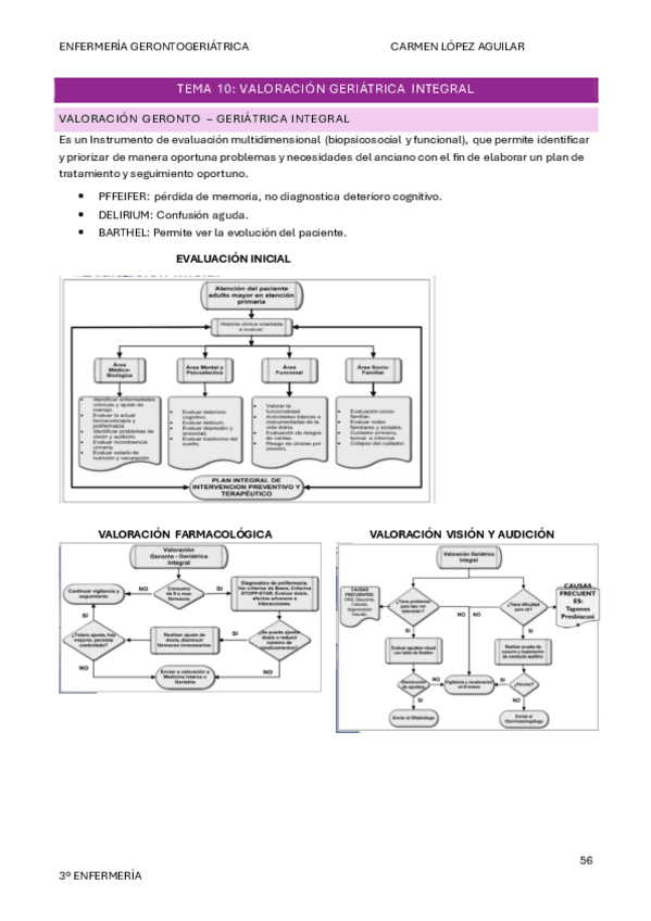 TEMA-10-COMPLETO.pdf