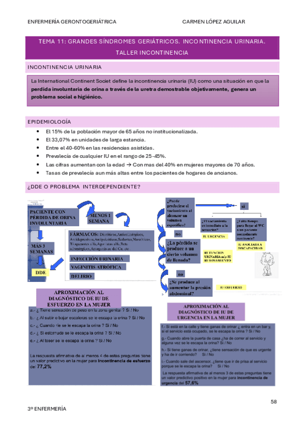 TEMA-11-COMPLETO.pdf