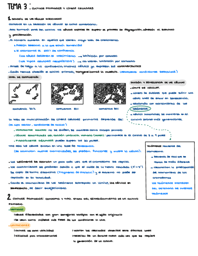 TEMA-3.pdf