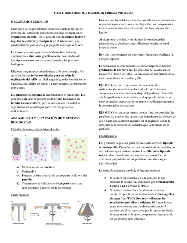 TEMA-1.-BIO-MOLECULAR.pdf