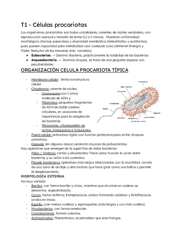 Biologia-celular-T1-y-T2.pdf
