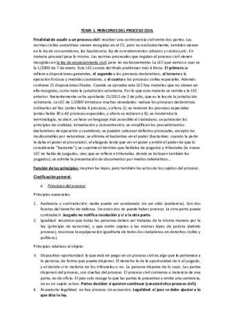 TEMA 1 principios del proceso civil.pdf