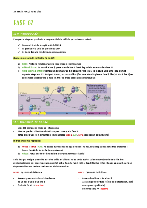 t-14-II--com-si-fos-t-15.pdf