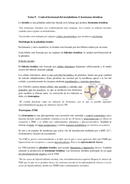 Tema 9 - Hormonas tiroideas.pdf