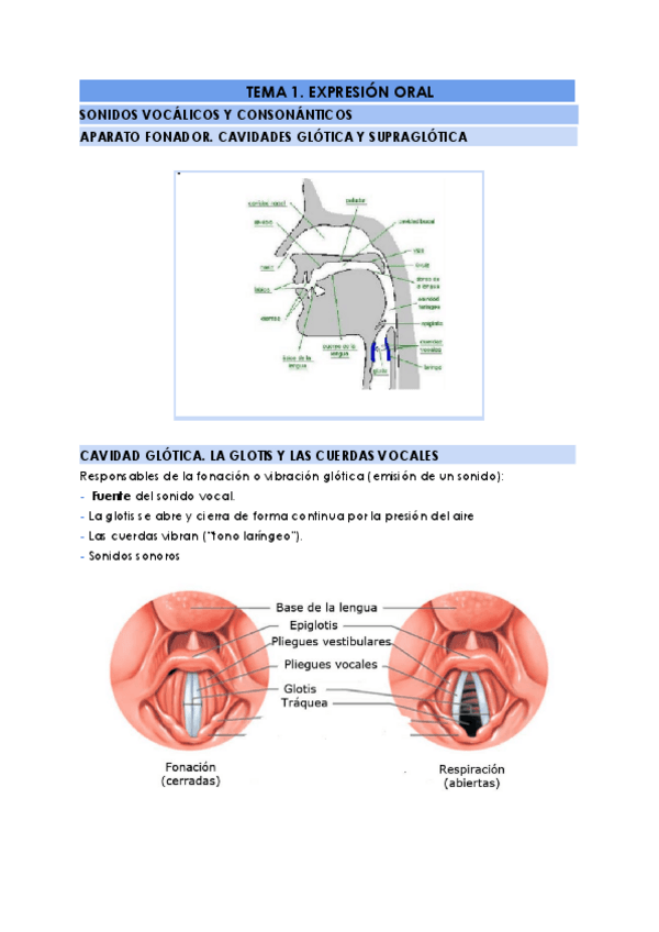 Lengua-castellana.pdf