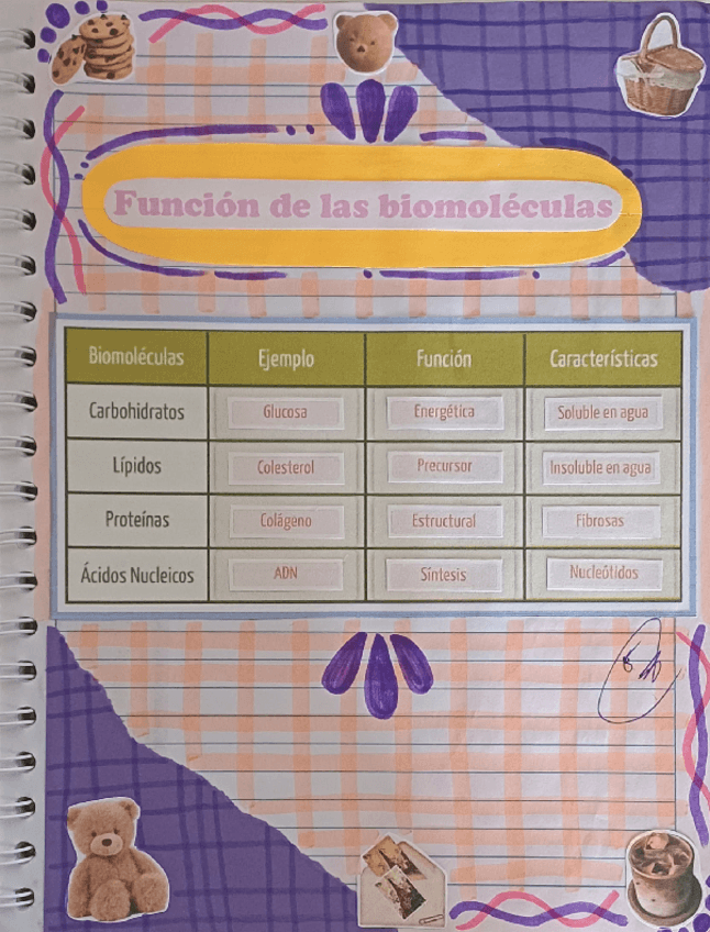 Funcion-de-las-biomoleculas.pdf