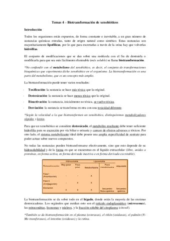 Tema 4 - Biotransformacion.pdf