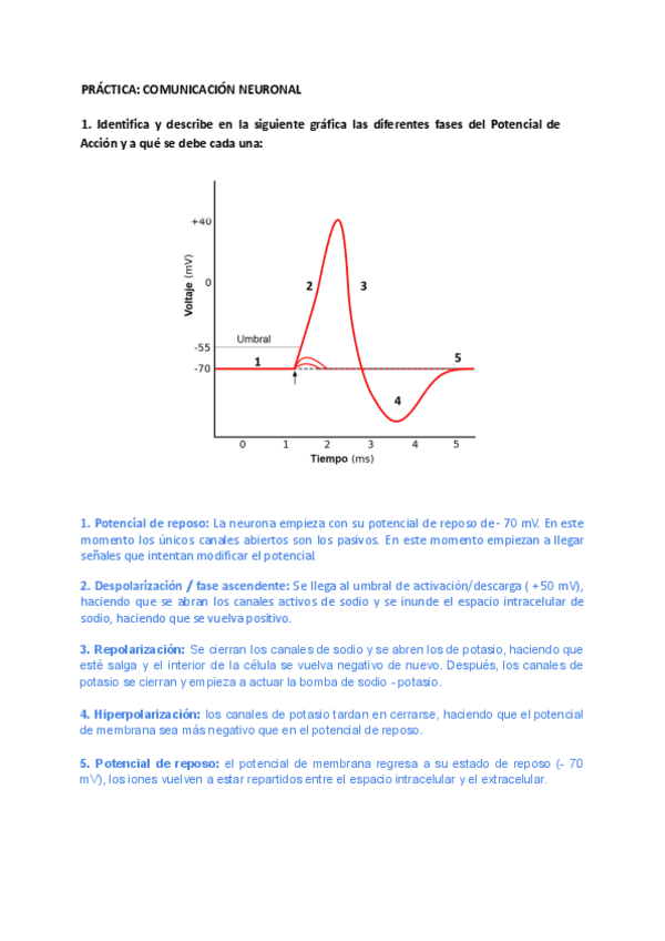Actividad-PA-23.pdf