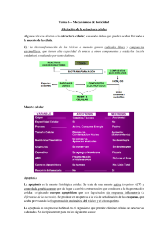Tema 6 - Mecanismos de toxicidad.pdf