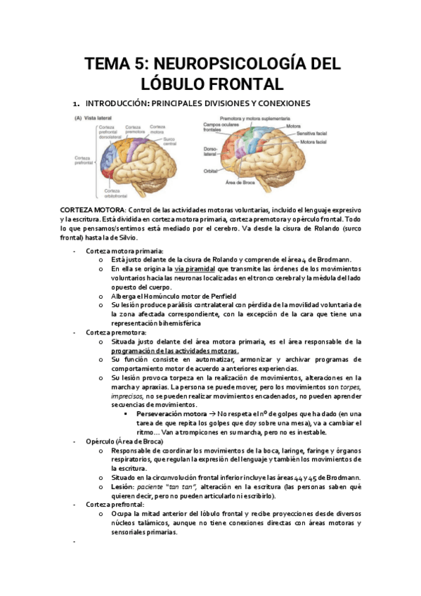 TEMA-5.-NP.pdf
