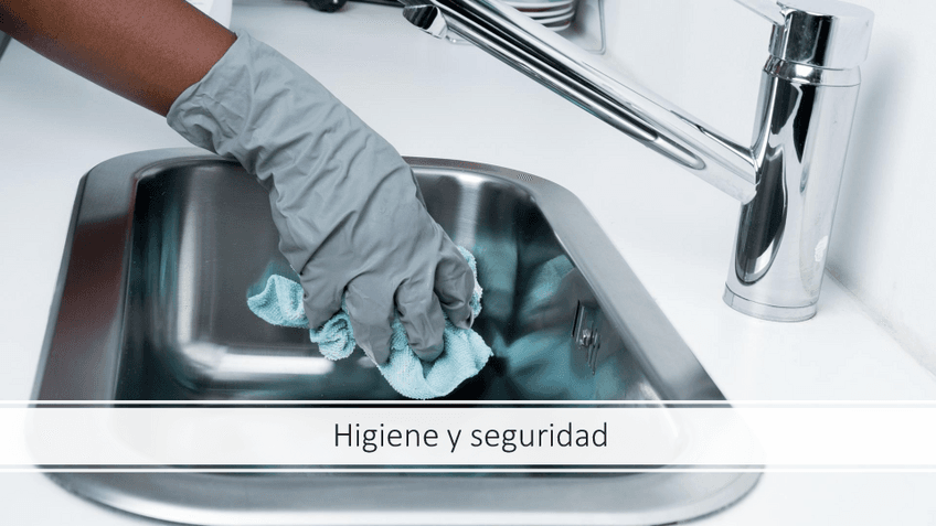 Higiene-y-seguridad.pdf