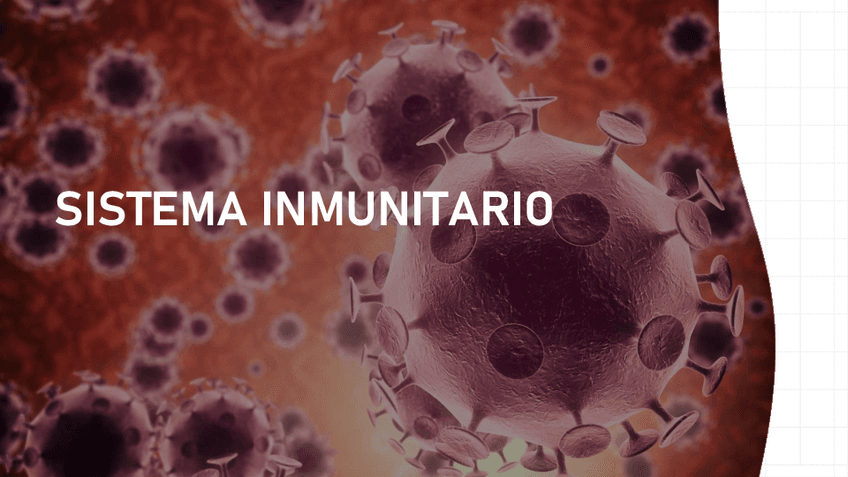 SISTEMA-INMUNITARIO.pdf