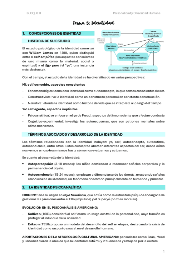 T5-Identidad.pdf