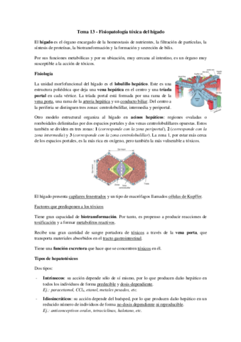 Tema 13 - Fisiopatología tóxica del hígado.pdf
