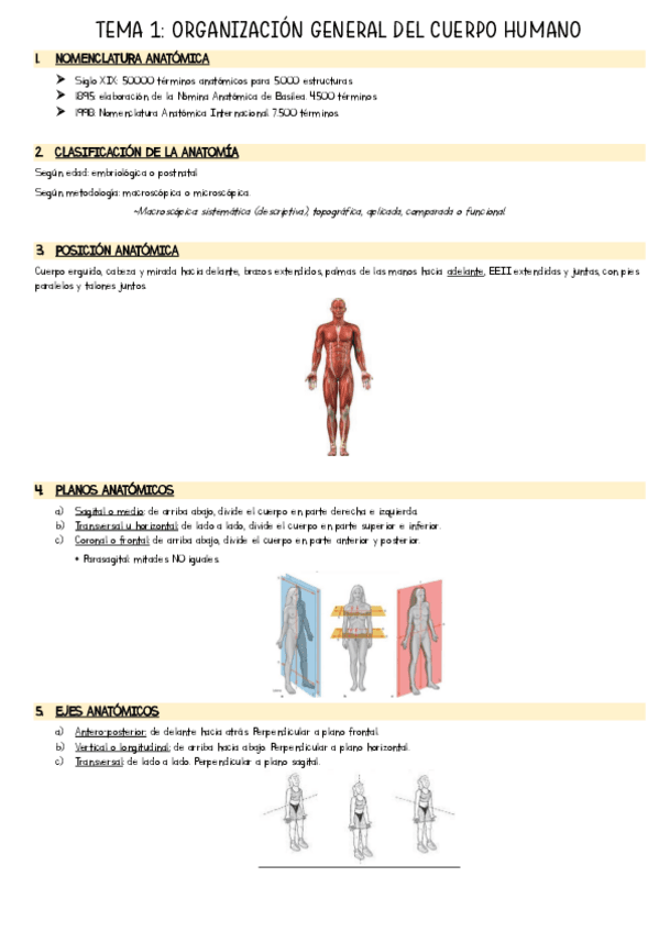 TEMA-1.pdf